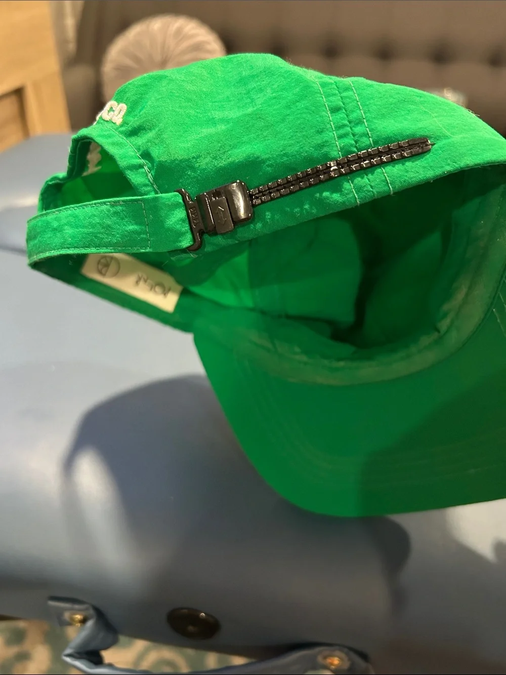 Polar Skate Co. Cap — Green